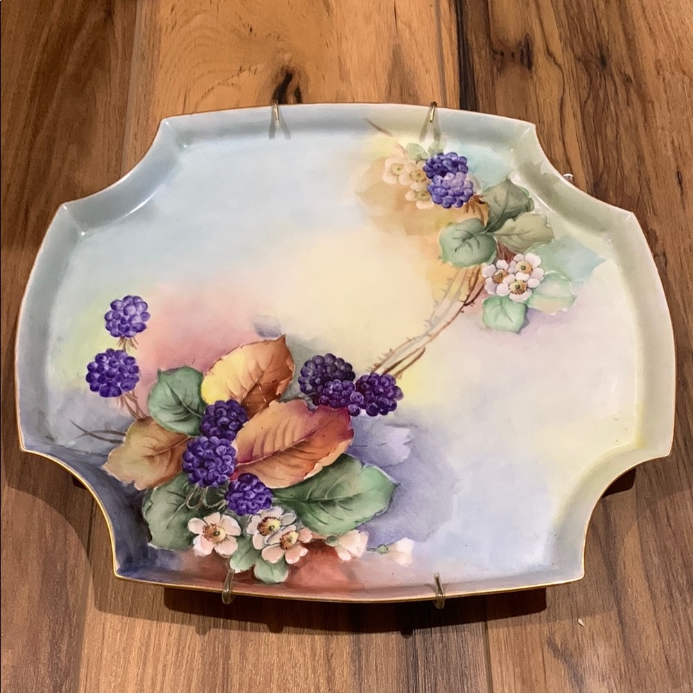 Limoges Hand painted fruit and leaf pattern French porcelain tray/wall hanging - Picture 1 of 9